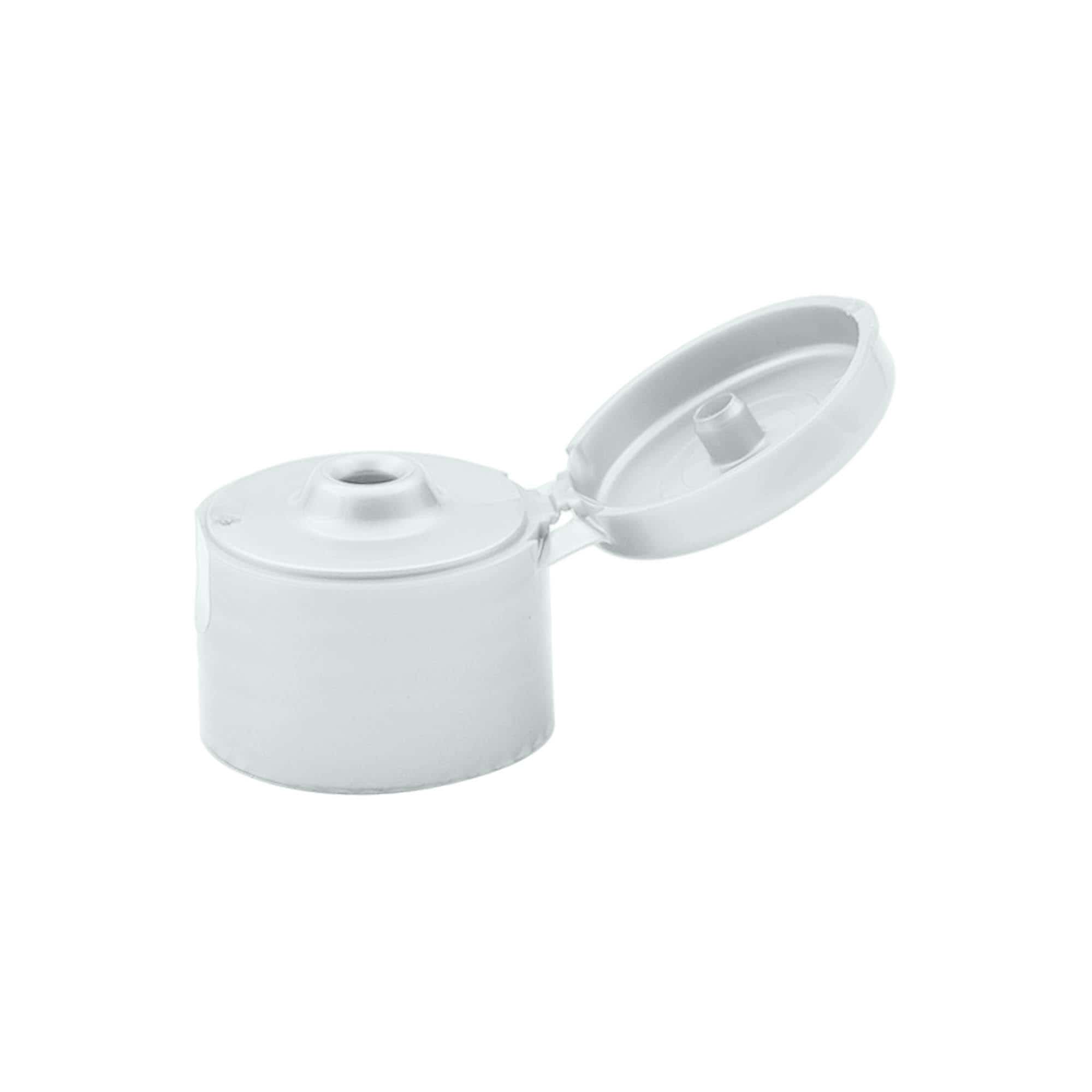 Varžtinis uždarymas su lankstiniu vyriais, PP plastikas, sidabrinės spalvos, skersmeniui: 24/410